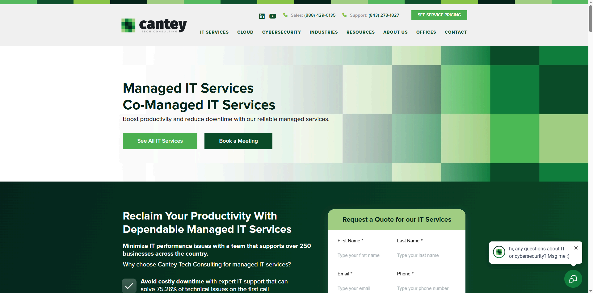 Screenshot of Cantey Tech Consulting website featuring managed IT and cybersecurity services for regulated industries.
